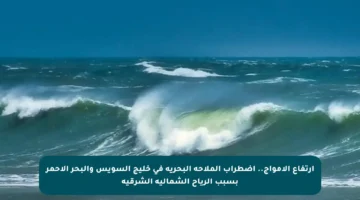 ارتفاع الأمواج.. اضطراب الملاحة البحرية في خليج السويس والبحر الأحمر بسبب الرياح الشمالية الشرقية